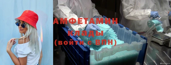 индика Майский