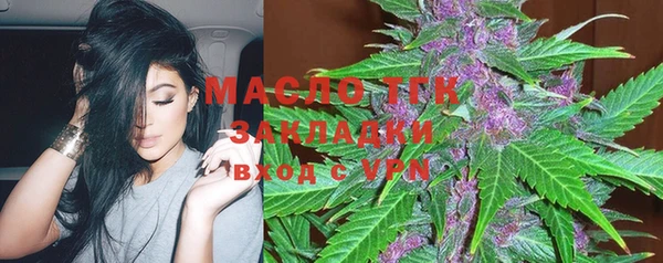 индика Майский