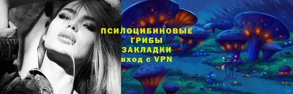 индика Майский